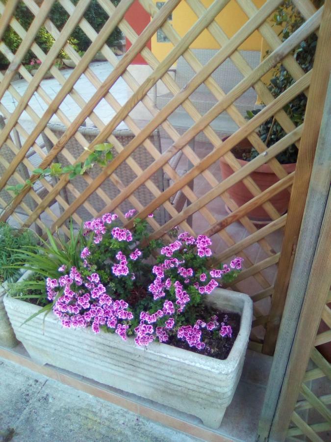 Bed and Breakfast Casa te la Bradamante Magliano Exterior foto