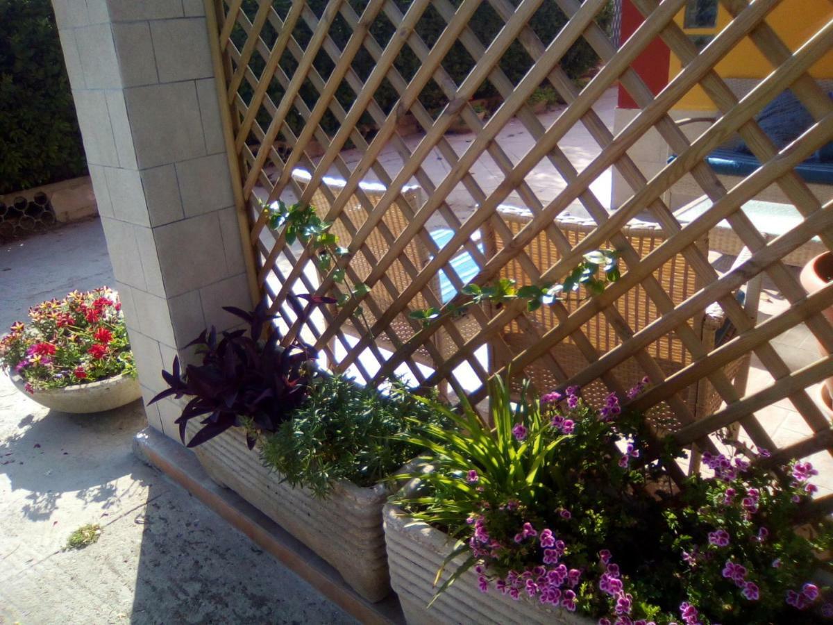 Bed and Breakfast Casa te la Bradamante Magliano Exterior foto